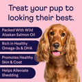 Finn Skin & Coat Salmon Oil Chews for Dogs | Omega-3 EPA & DHA | 90 Ct | Biotin, Zinc & B-Vitamins | Wild Alaskan Sourced | NASC Certified | Vet-Formulated | Healthy Skin & Coat