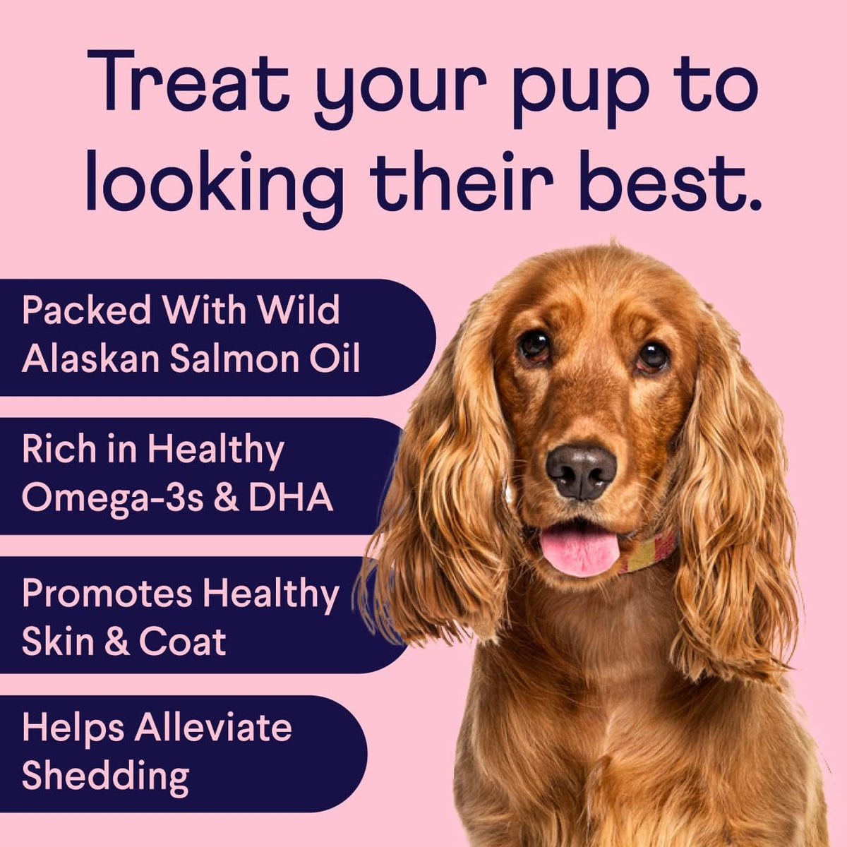 Finn Skin & Coat Salmon Oil Chews for Dogs | Omega-3 EPA & DHA | 90 Ct | Biotin, Zinc & B-Vitamins | Wild Alaskan Sourced | NASC Certified | Vet-Formulated | Healthy Skin & Coat