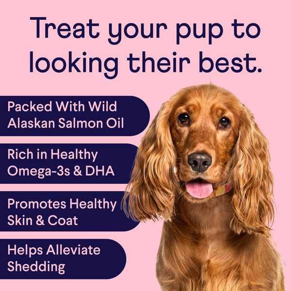 Finn Skin & Coat Salmon Oil Chews for Dogs | Omega-3 EPA & DHA | 90 Ct | Biotin, Zinc & B-Vitamins | Wild Alaskan Sourced | NASC Certified | Vet-Formulated | Healthy Skin & Coat