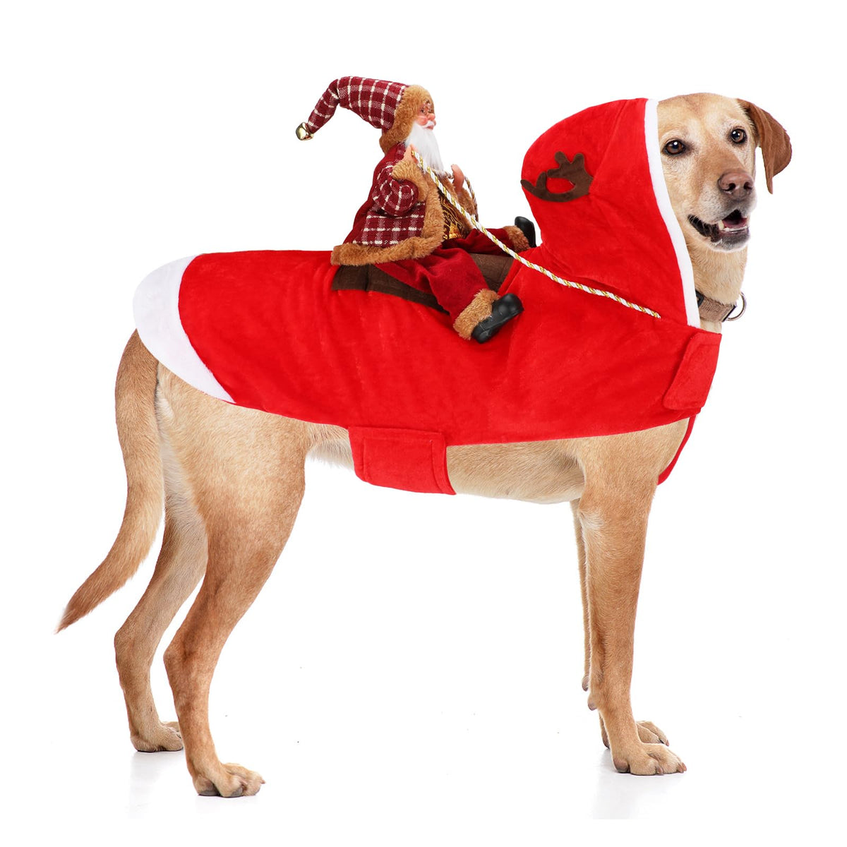 Santa Dog Costume, Dog Christmas Outfit, Riding Pet Costume, Size M