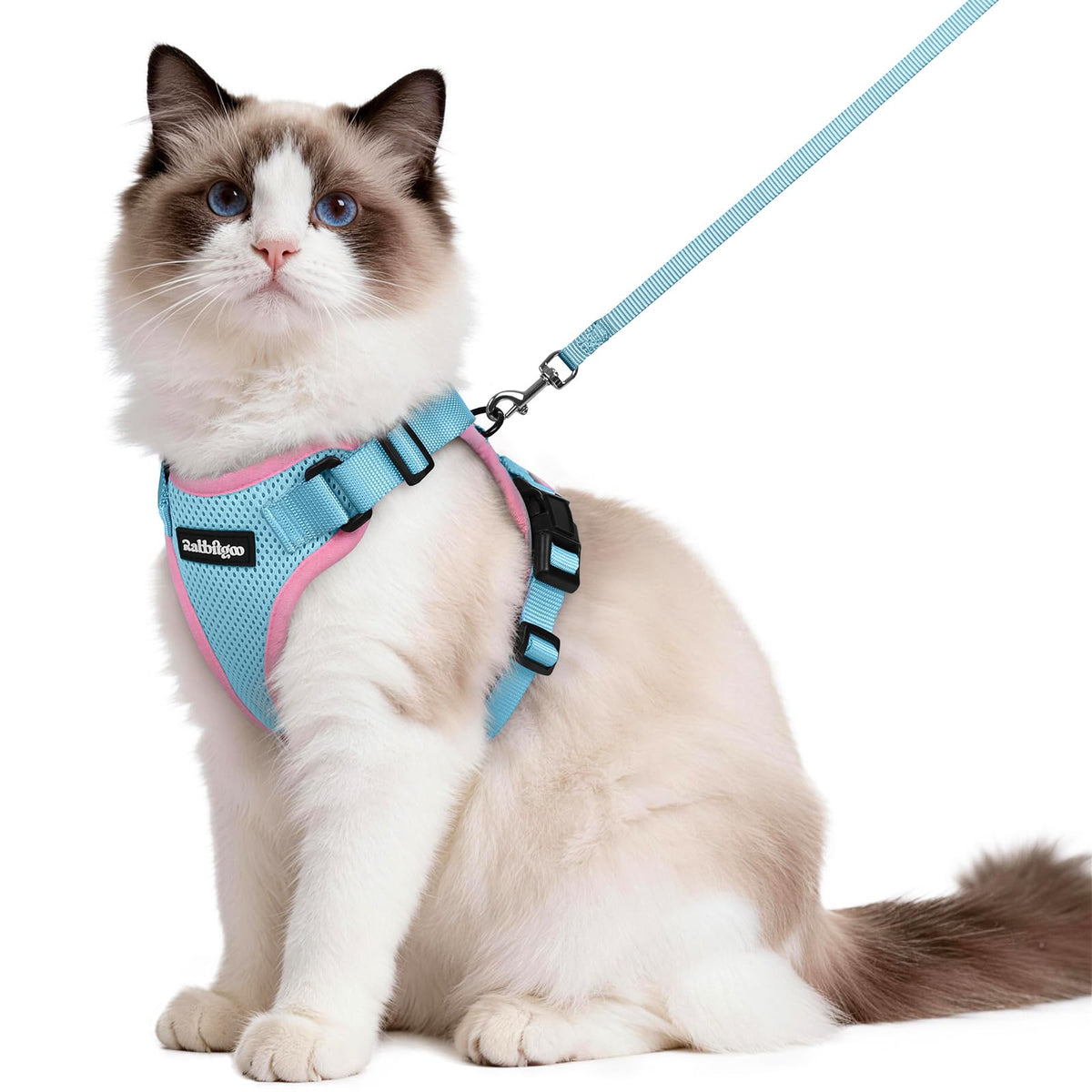 rabbitgoo Cat Harness and Leash Set, Escape Proof Vest, Black | Soft Breathable Mesh, Easy Adjustable Fit, Snap Buckles, Sturdy Clip, Reflective Strips, for Small & Average Cats Walks, Xs