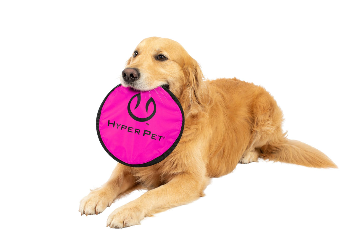 Hyper Pet Flippy Flopper Flying Disc Soft Dog Toy 9 Inch, Floats, 2 Pack | Safe on teeth for all breeds, stays on the water surface for pool and lake fetch games, colors may vary with every order