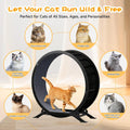 GTPLAYER Cat Wheels, 40" Diameter, Large Cat Exercise Wheel for Indoor Cats cat Treadmill Metal with Detachable Carpet & Teaser/Stickers, Ultra-Quiet Scroll Wheel with Latch, Safe and Stable Grey