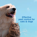 ADAMS Plus Flea and Tick Spray for Dogs & Cats, Kills Fleas and Ticks, Repels Mosquitoes, Prevents Infestations up to 2 Months, Treatment for Dogs, Cats, Puppies & Kittens, 16 Fl Oz