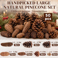 50 PCS Large Natural Pinecone Ornaments, Pine Cones Bowl Fillers