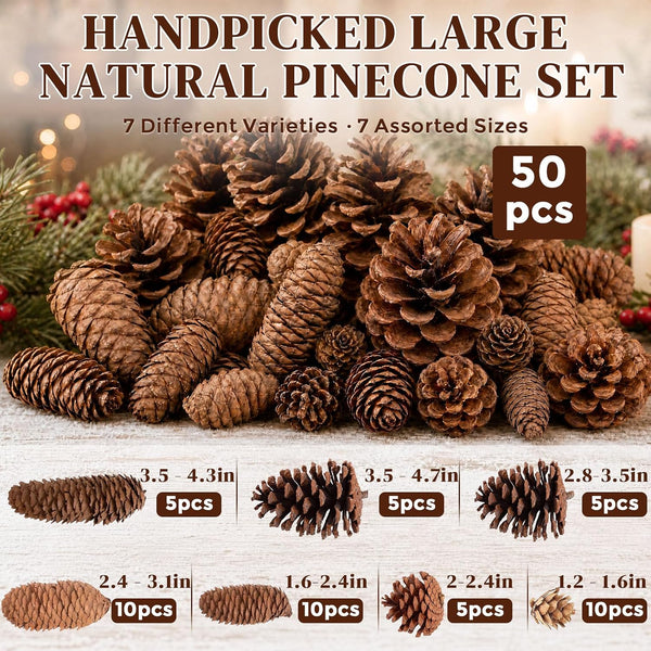 50 PCS Large Natural Pinecone Ornaments, Pine Cones Bowl Fillers
