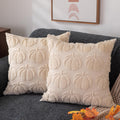 DFXSZ Fall Pillow Covers 18x18 2Pcs Rust Pumpkin Fall Decorations for Home | Fall decor Set of 2 Throw Pillow Cases Soft Plush Faux Fur Wool Couch Cushion for Chair Sofa Bedroom Living Room Home Decor