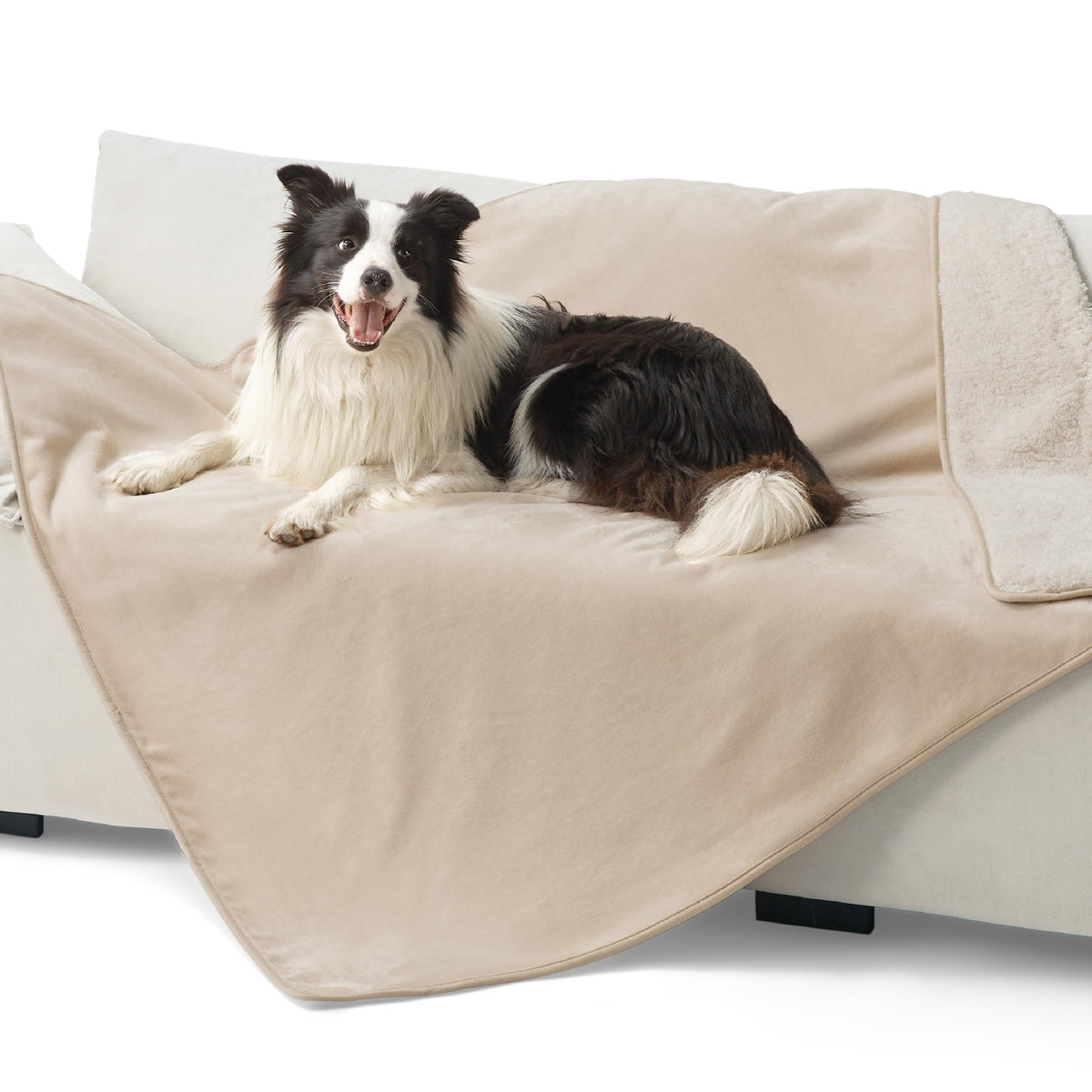 Bedsure Waterproof Dog Blankets for Small Dogs Soft Cat Blanket Warm,25X35