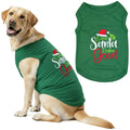 Parisian Pet Dog Tshirt - Embroidered “ Sorry Santa I Ate Your Cookies “ Dog Shirt - Lightweight Cotton Pet Christmas Outfit - Sleeveless Christmas Puppy Clothes - Shirts for Small Dogs - XXS