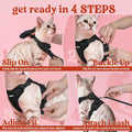 rabbitgoo Cat Harness and Leash Set, Escape Proof Vest, Black | Soft Breathable Mesh, Easy Adjustable Fit, Snap Buckles, Sturdy Clip, Reflective Strips, for Medium to Large Cats Walks, M