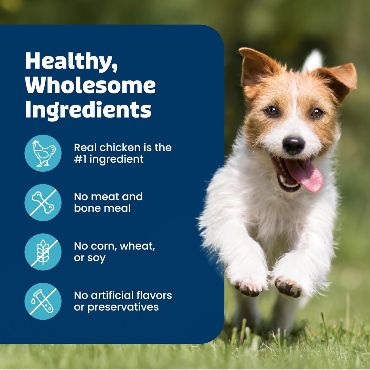 Blue Buffalo Bits Beef Soft & Chewy Dog Treats, Bite-Sized for Training, Made with Real Beef & Enhanced with DHA, Heart-Shaped Dog Treats, Made in the USA with Natural Ingredients, 19 oz.