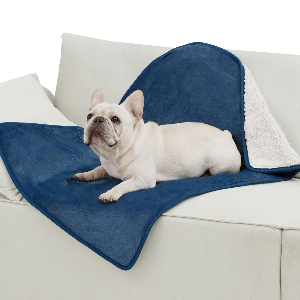 Bedsure Waterproof Dog Blankets for Small Dogs Soft Cat Blanket Warm,25X35