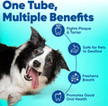 C.E.T. Enzymatic Toothpaste for Dogs and Cats, Poultry, 2.5oz | Plaque and tartar control for fresh breath, pet dental care toothpaste, Dual enzyme system, poultry flavored toothpaste