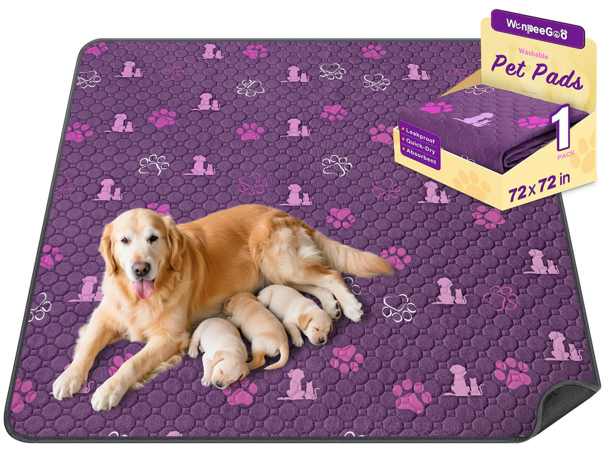 WanpeeGoo Washable Pee Pads for Dogs, Waterproof, 18 x 24 in, 4 Pack, Gray | Super Absorbent, Waterproof and Non-Slip; Washable, Reusable Dog Pads for Crates, Playpens, Floors, Furniture and Travel