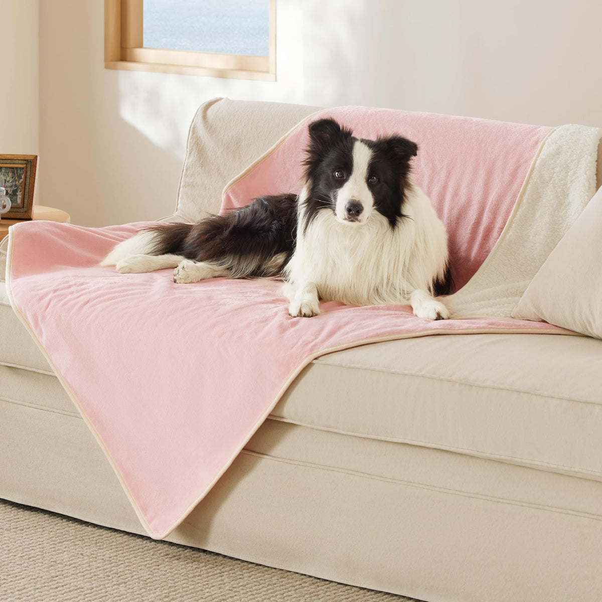 Bedsure Waterproof Dog Blankets for Small Dogs Soft Cat Blanket Warm,25X35