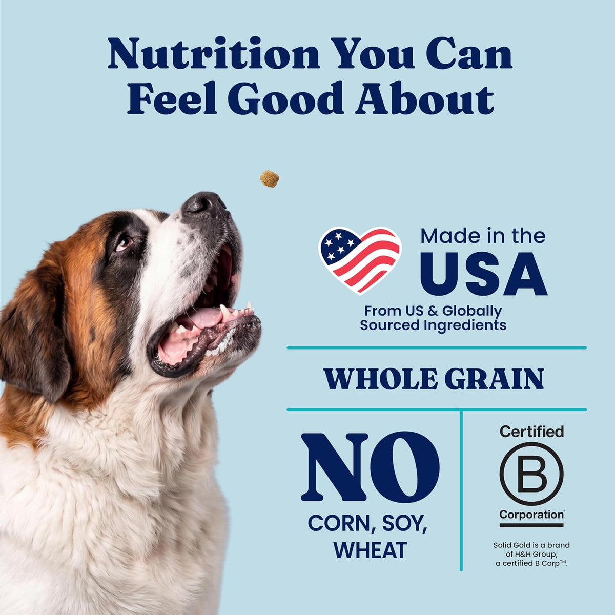 Solid Gold Bison Dry Dog Food for Large Dogs – High Protein, Whole Grain Kibble with Real Bison, Brown Rice & Omega 3 – Large Kibble w/Probiotics for Gut Health - Adult Dog Food - Nutrientboost™–22LB