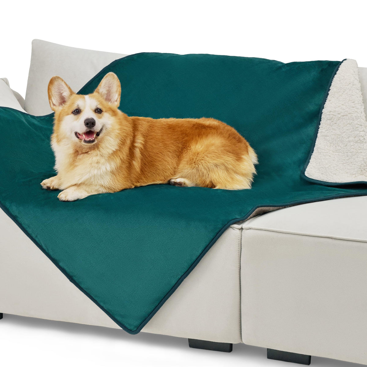 Bedsure Waterproof Dog Blankets for Small Dogs Soft Cat Blanket Warm,25X35