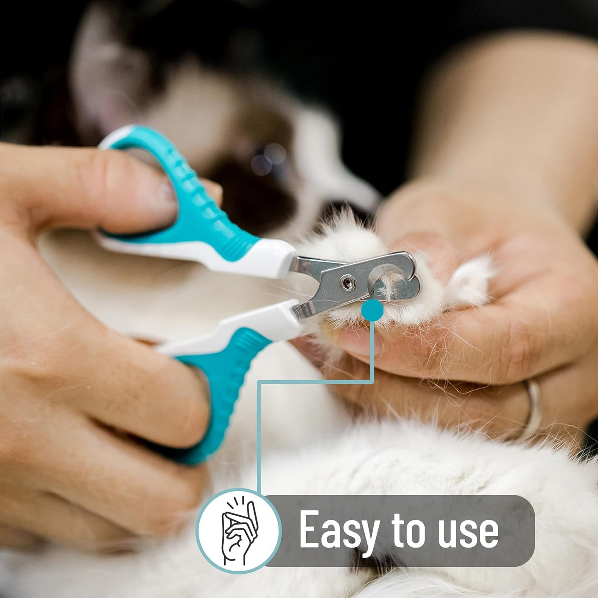 Mr. Pen- Cat Nail Clipper, Stainless Steel, Sharp Cat Claw Trimmer | Cat Claw Trimmer for Small and Medium Cats, Pet Nail Clipper with Sturdy Non Slip Handle