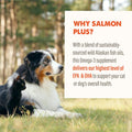 Grizzly Pet Products Salmon Plus Omega 3-6-9 Food Supplement for Dogs and Cats, 8 Ounce