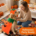 Rypet Dog Pumpkin Costume, Halloween Cape & Hat for Large X-Large Dogs, XL
