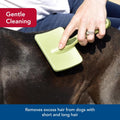 Coastal Pet Safari Dog Soft Slicker Brush - Dog Grooming Brush for Shedding - for Dogs with Short, Medium and Long Hair - Small - 6.5" x 2.5"