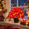 Der Rose Large Artificial Poinsettia Flowers with Lights for Outdoor, 14 in