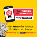 Purina Friskies Cat Treats, Party Mix Beachside Crunch - 20 oz. Pouch