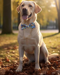 PET SHOW 10 Pack Fall Dog Bowties for Large Dogs Sliding on Collar
