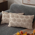 DFXSZ Fall Pillow Covers 18x18 2Pcs Rust Pumpkin Fall Decorations for Home | Fall decor Set of 2 Throw Pillow Cases Soft Plush Faux Fur Wool Couch Cushion for Chair Sofa Bedroom Living Room Home Decor