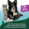 Vet’s Best Flea & Tick Home Spray for Cats – Plant-Based Flea and Tick Treatment with Cotton Spice Scent – Gentle Flea Mist for Indoor Use – Made in USA Natural Cat Flea Control – 32 oz