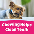 Purina Busy Bone Adult Toy Breed Dog Chew Bone Treats, Tiny - 60 ct. Pouch
