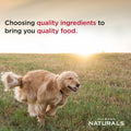 Diamond Naturals Adult Dry Dog Food Lamb Meal and Rice Formula Made with Quality Lamb Protein, Probiotics and Essential Nutrients to Support Balanced and Overall Health 40Lb