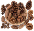 50 PCS Large Natural Pinecone Ornaments, Pine Cones Bowl Fillers