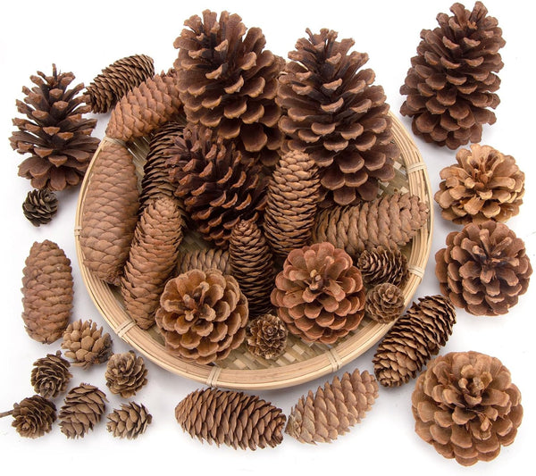 50 PCS Large Natural Pinecone Ornaments, Pine Cones Bowl Fillers