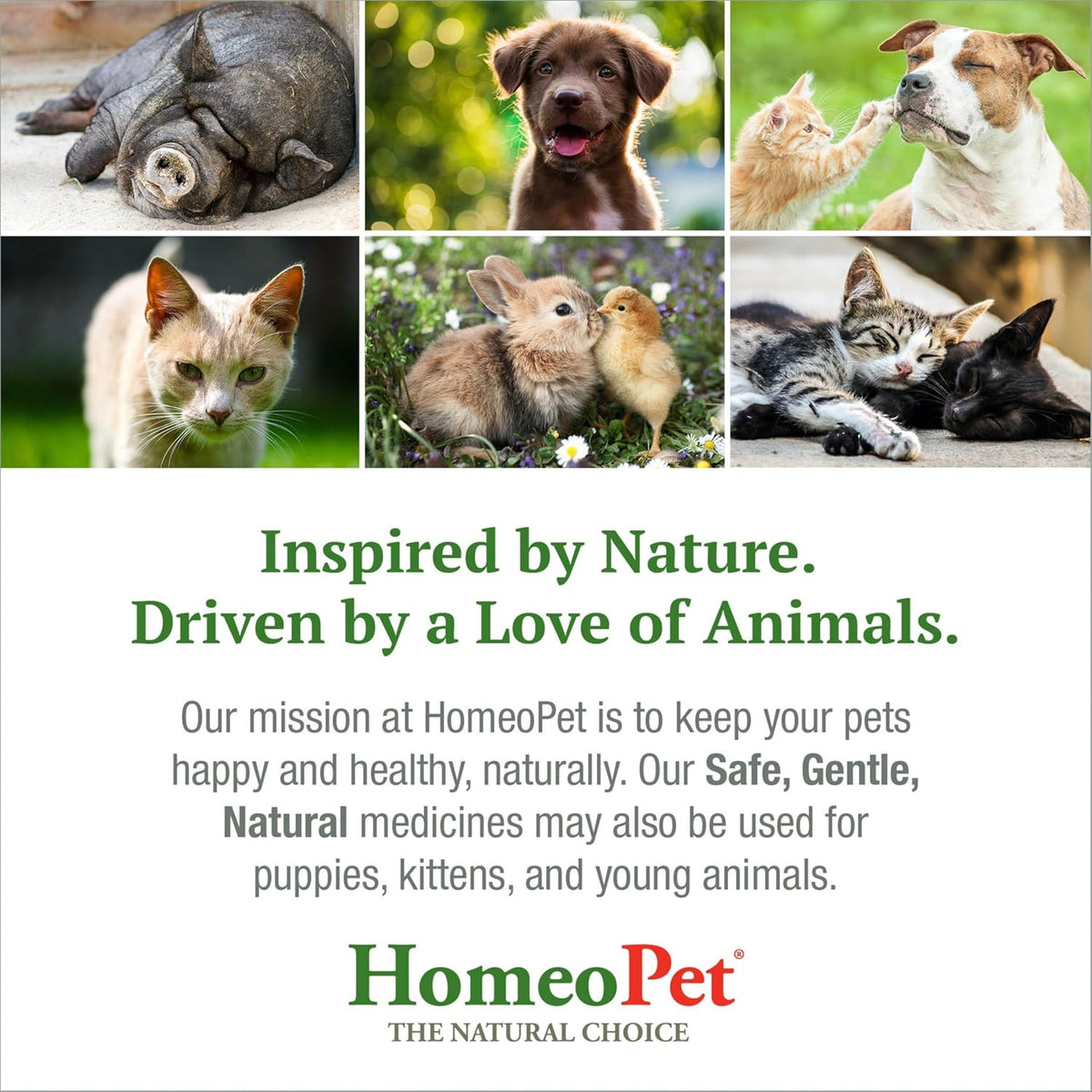 HomeoPet Feline Anxiety Relief Safe and Natural Pet Stress and Anxiety Support Supplement for Cats 15 Milliliters