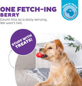 Outward Hound by Planet Dog Foodies Strawberry Treat-Dispensing Dog Chew Toy, Pink
