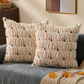 DFXSZ Fall Pillow Covers 18x18 2Pcs Rust Pumpkin Fall Decorations for Home | Fall decor Set of 2 Throw Pillow Cases Soft Plush Faux Fur Wool Couch Cushion for Chair Sofa Bedroom Living Room Home Decor