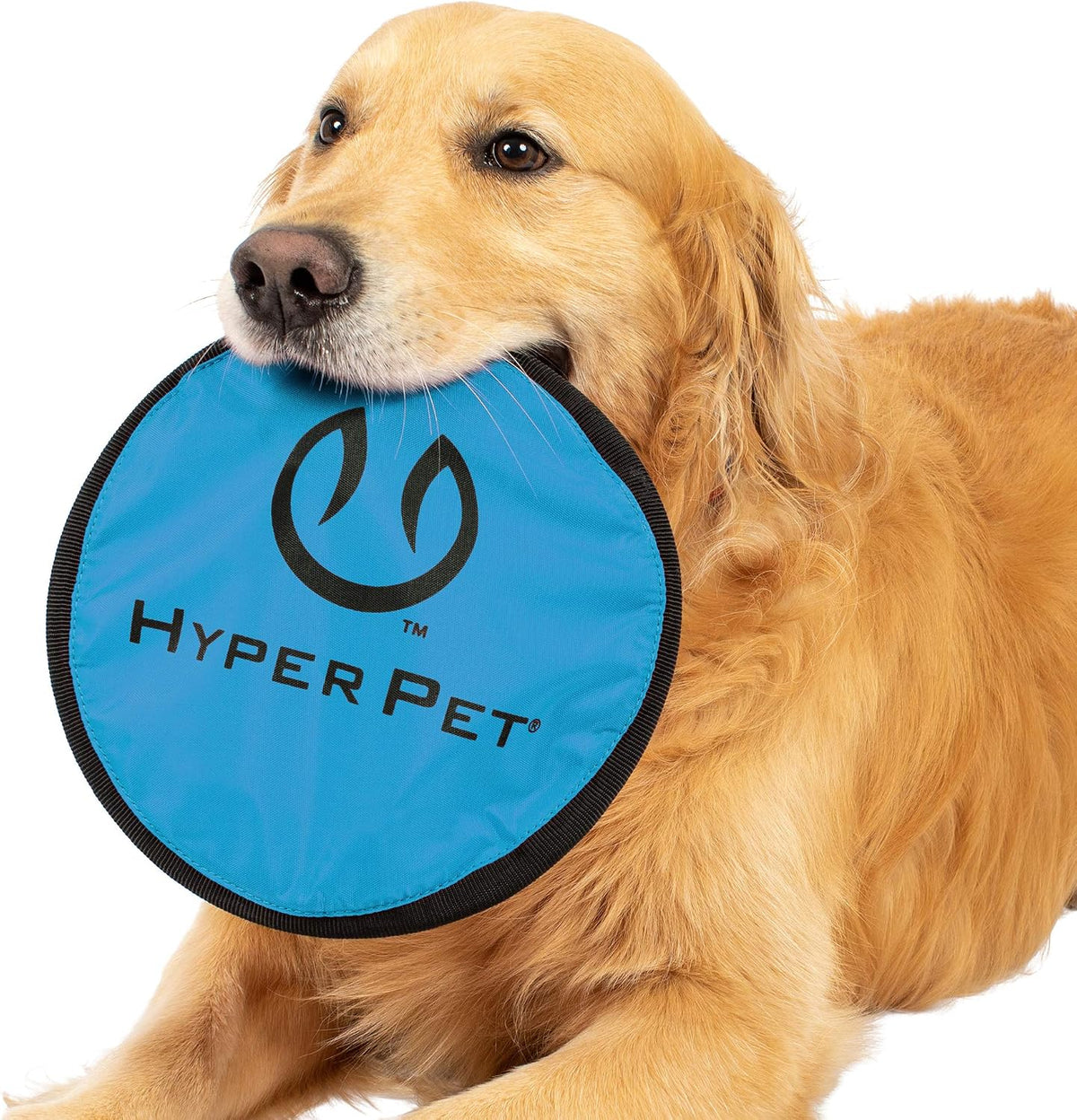Hyper Pet Flippy Flopper Flying Disc Soft Dog Toy 9 Inch, Floats, 2 Pack | Safe on teeth for all breeds, stays on the water surface for pool and lake fetch games, colors may vary with every order