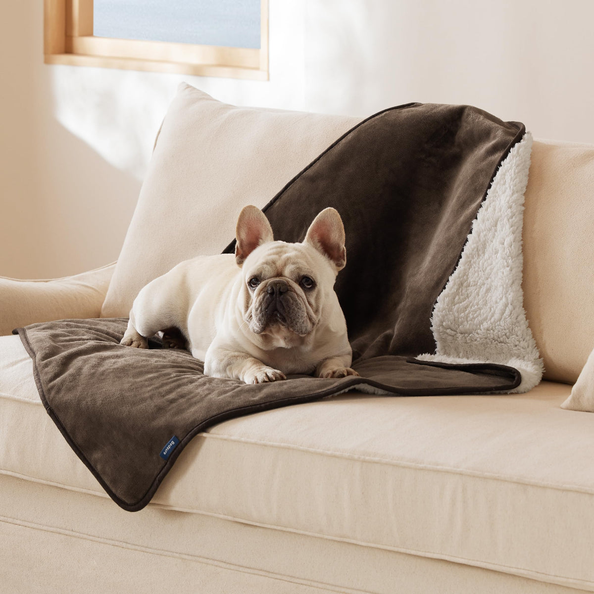 Bedsure Waterproof Dog Blankets for Small Dogs Soft Cat Blanket Warm,25X35