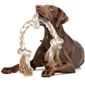 Fida Dog Rope Toys for Large/Medium Aggressive Chewers, Tough Cotton Chew Toy, 3 Feet 5 Knots Indestructible, Tug of War Dog Pull Rope Teeth Cleaning
