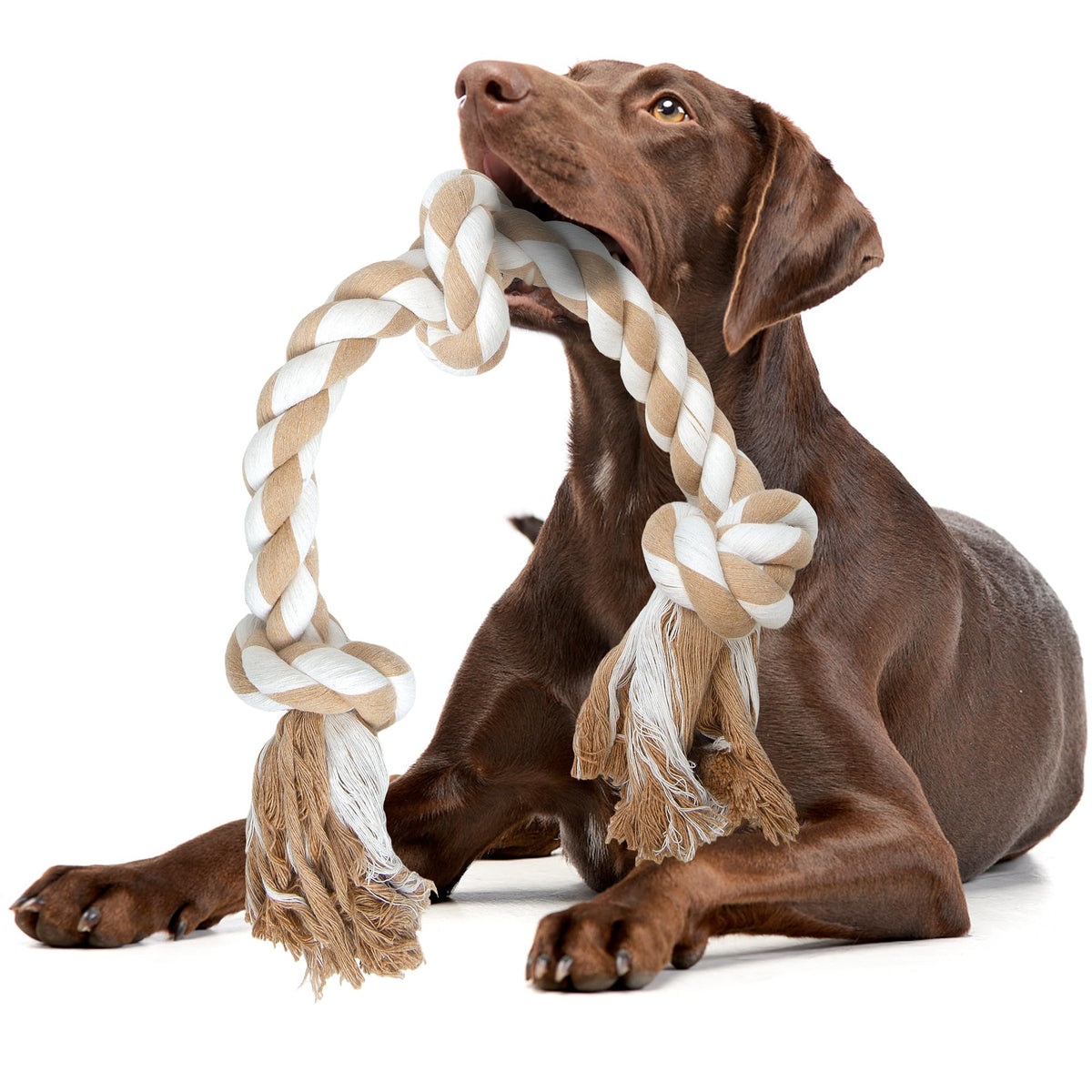 Fida Dog Rope Toys for Large/Medium Aggressive Chewers, Tough Cotton Chew Toy, 3 Feet 5 Knots Indestructible, Tug of War Dog Pull Rope Teeth Cleaning