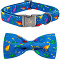 Fall Dog Collar with Bow, Black and Orange Print Fall Pet Collars Small