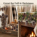 28 PCS Natural Pine Cones with Strings