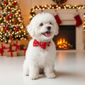 Blueberry Pet Luxurious Christmas Festival Polka Dot Adjustable Dog Collar with Detachable Bowtie, Neck 13-16.5", for Medium Breed