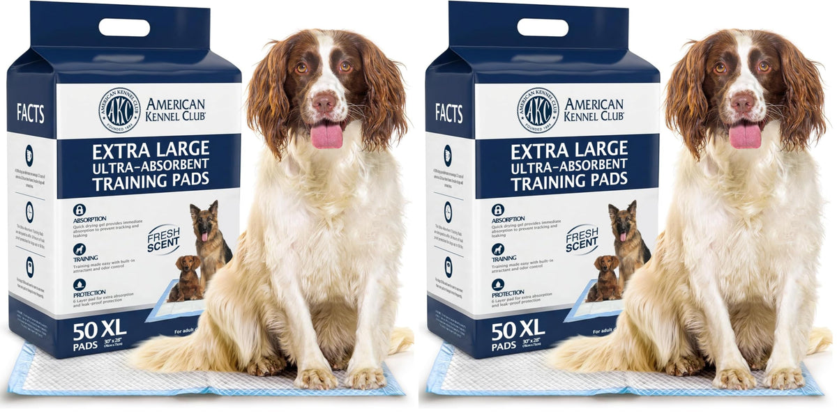 American Kennel Club Scented Puppy Training Pads with Ultra Absorbent Quick Dry Gel – 28 x 30 Pee Pads for Dogs - Fresh Scented - 50 Count, XL