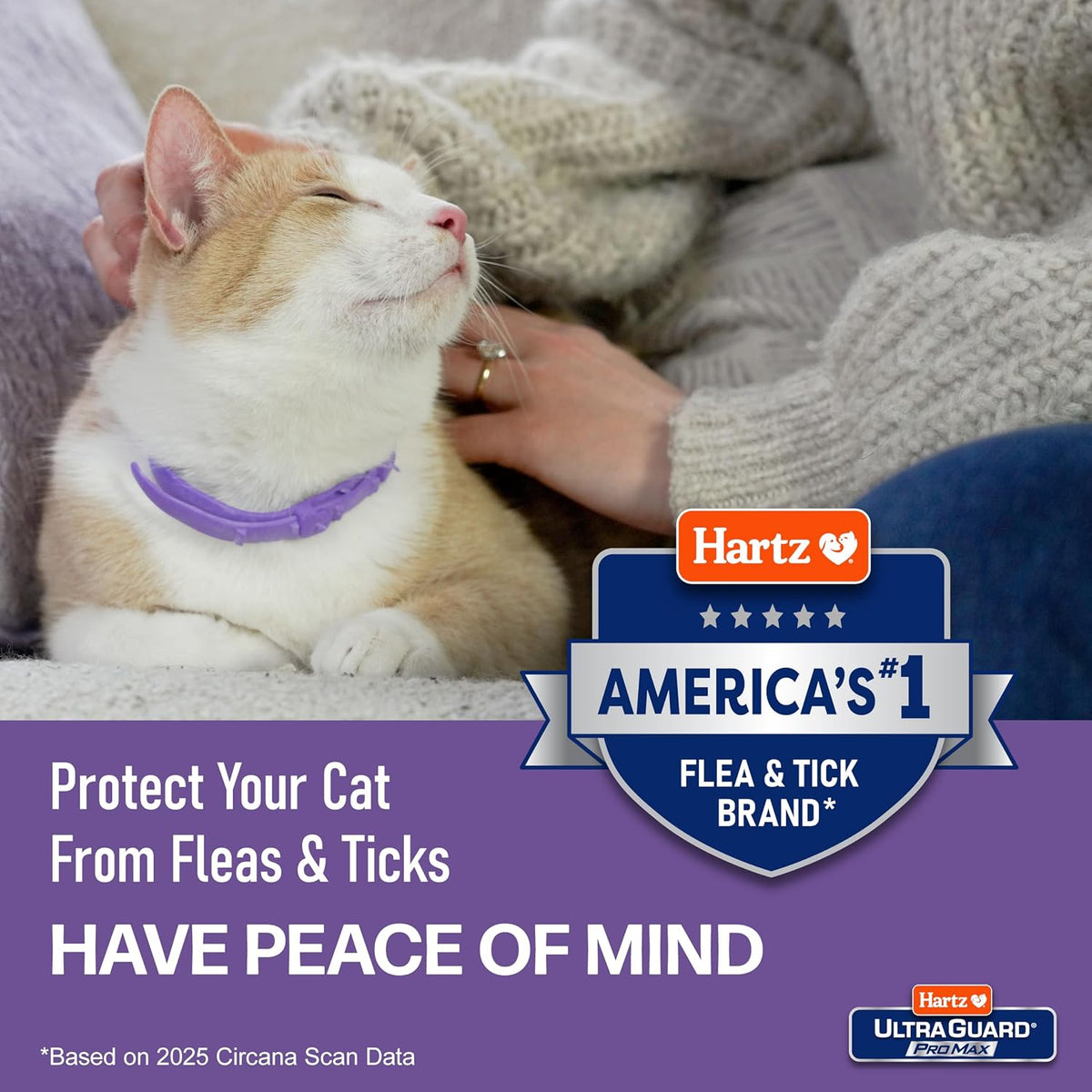 Hartz UltraGuard ProMax Flea & Tick Collar for Cats & Kittens I 14 Months Protection I Soft & Comfortable | Kills Fleas, Ticks, and Larvae I 2 Pack