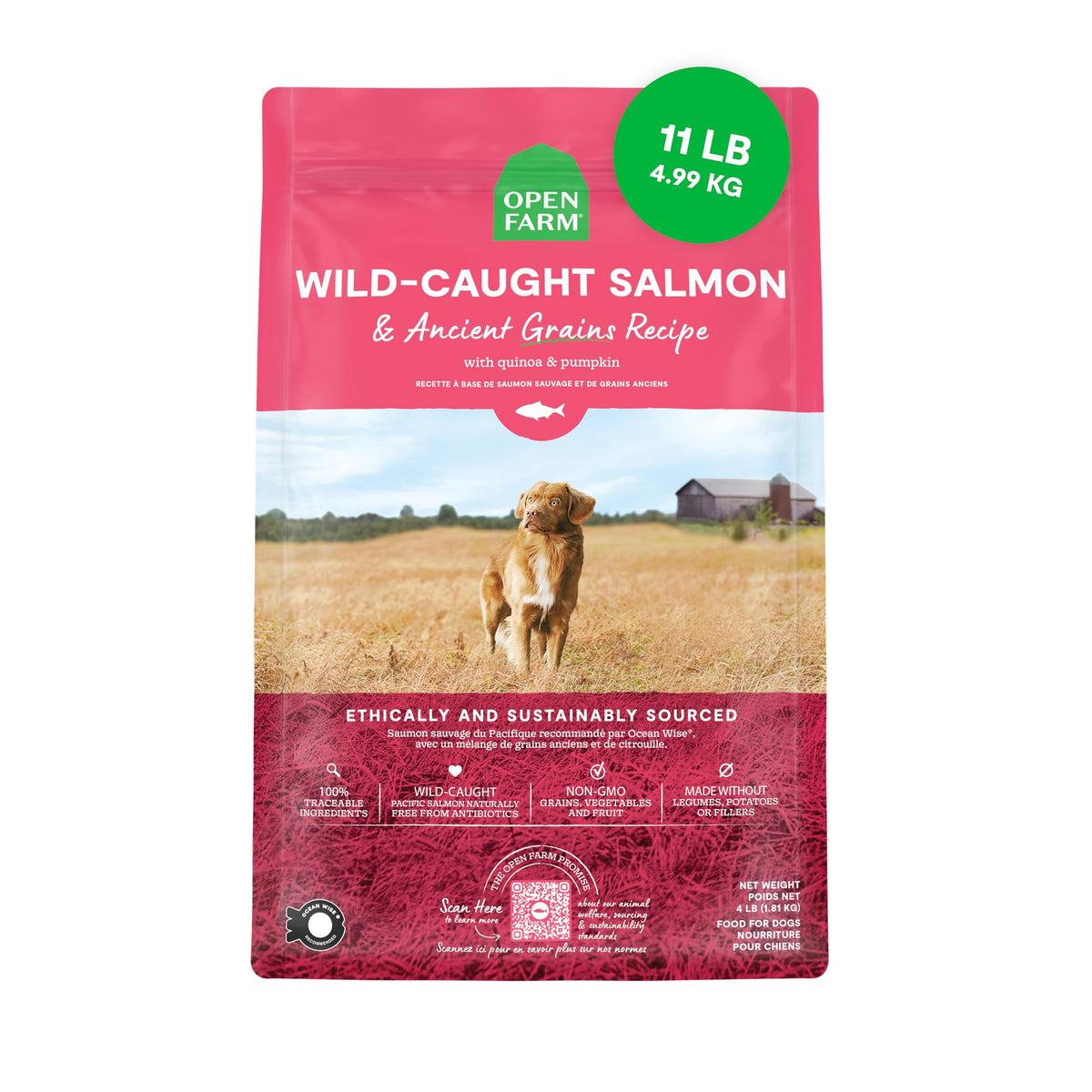 Open Farm, Ancient Grains Dry Dog Food, Protein-Rich & Nutrient Dense, 90% Animal Protein Mixed with Non-GMO Fruits, Veggies and Superfoods, Grass-Fed Beef Recipe, 4lb Bag