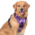 rabbitgoo Dog Harness No Pull with 2 Leash Clips, Adjustable Soft Padded, Reflective Oxford No Choke Pet Vest with Easy Control Handle for Medium Sized Dogs, Black, M