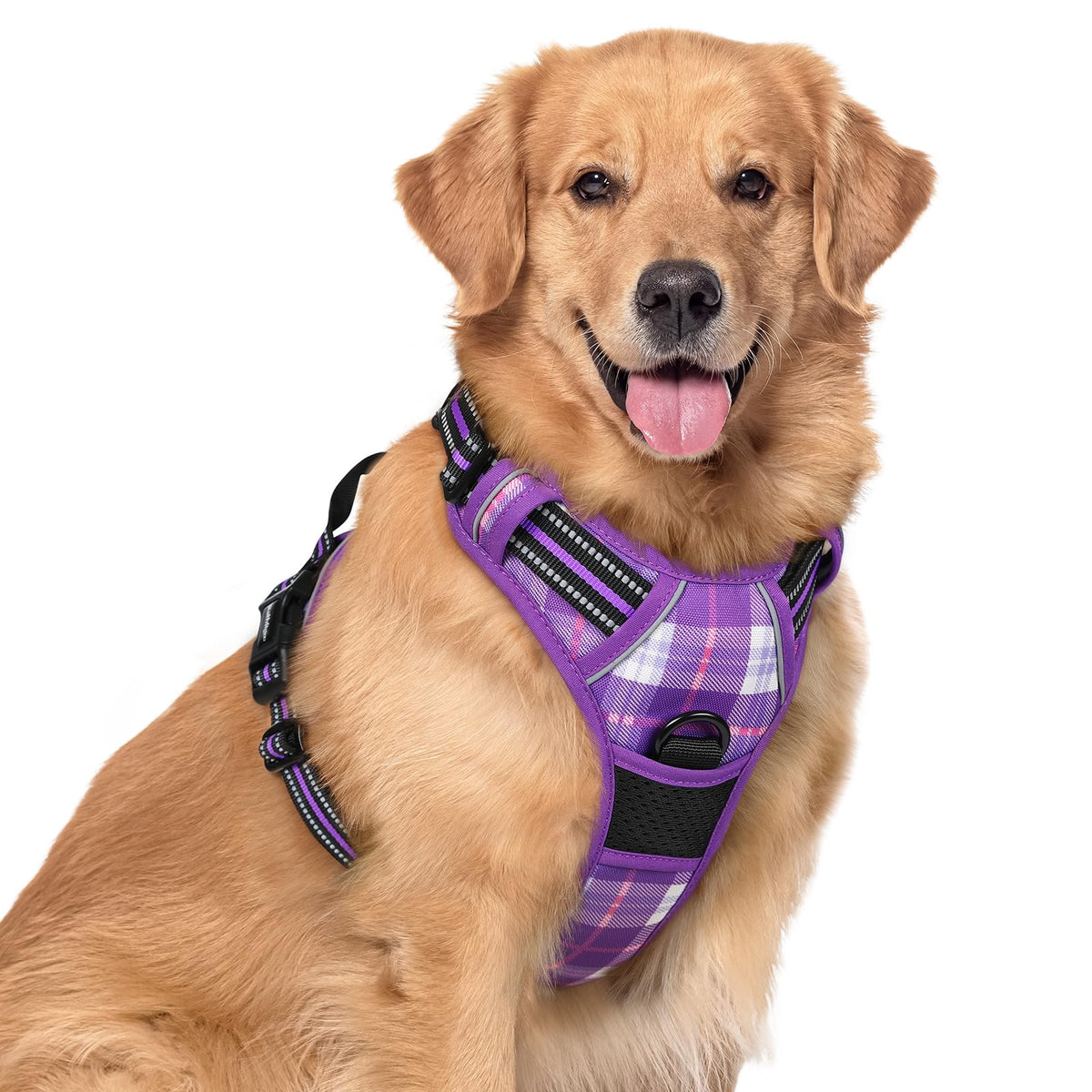 rabbitgoo Dog Harness No Pull with 2 Leash Clips, Adjustable Soft Padded, Reflective Oxford No Choke Pet Vest with Easy Control Handle for Large Dogs, Black, L