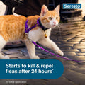 Seresto Cat Vet-Recommended Flea & Tick Treatment & Prevention Collar for Cats, 8 Months Protection | (Pack of 2)